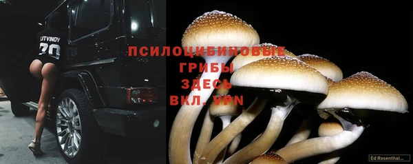 Альфа ПВП Белокуриха