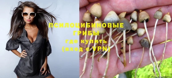 Альфа ПВП Белокуриха