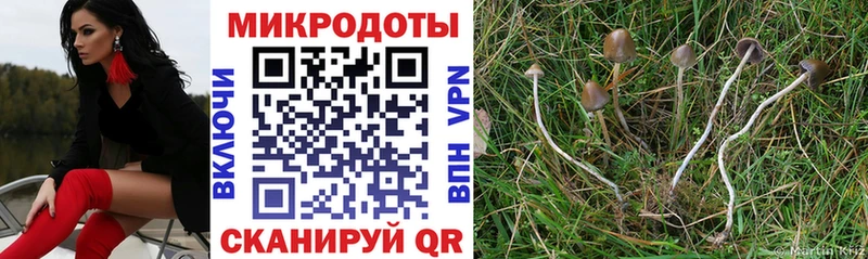 где купить наркоту  Куйбышев  Галлюциногенные грибы мицелий 